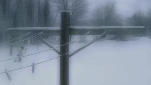 God Knows Where I Am Bild 3