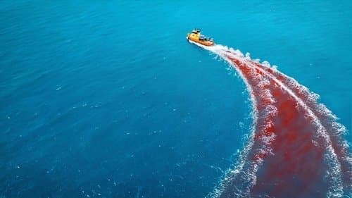 Dangerous Animals Bild 2