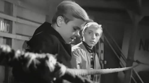 Компаньерос Bild 2