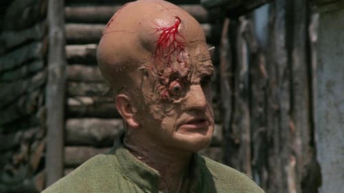 Lady Frankenstein Bild 3