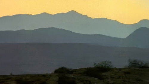 Dinosaurs Inside & Out Bild 1