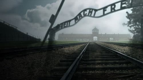 L'Histoire Vraie Du Tatoueur D'Auschwitz (2025) Bild 2