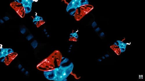 A Dunces Burden Bild 4