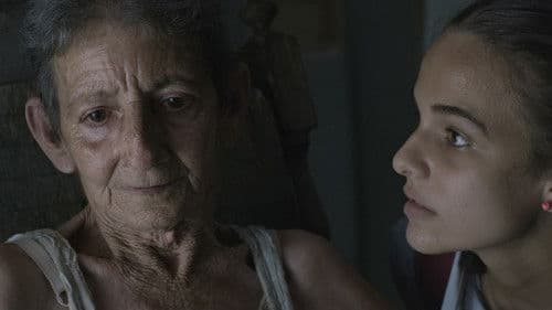 El Mundo de Nelsito Bild 5