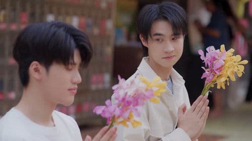 หมาน้อง Bild 4