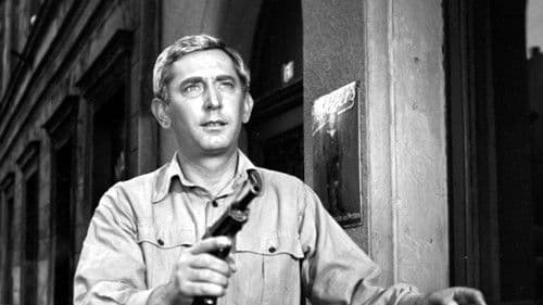 Das Gesetz und die Faust Bild 1