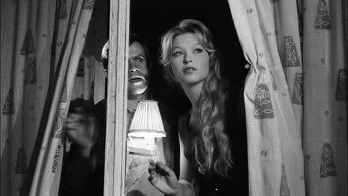 Mädchen im Schaufenster Bild 7