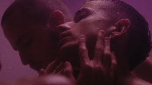 Túnel de lavado Bild 3