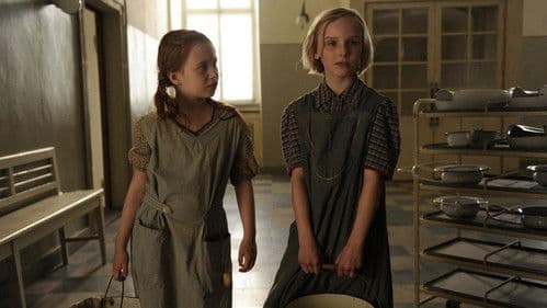 Nebel im August Bild 6