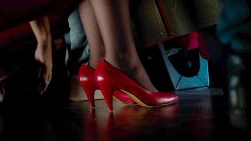 Timides Intentions Bild 2