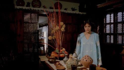 Oase der Zombies Bild 3