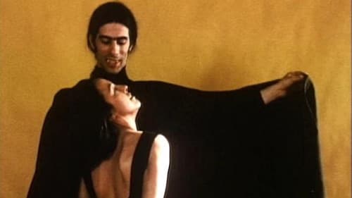 Casual Relations Bild 1