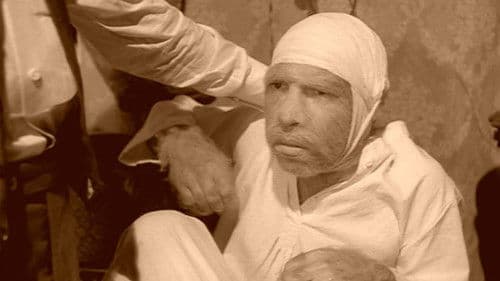 Собачье сердце Bild 5