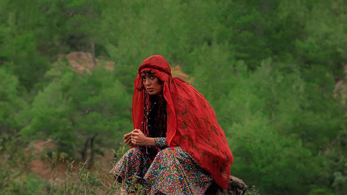 Das Mädchen mit dem roten Kopftuch Bild 3