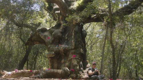 Valentina e i MUOStri Bild 1