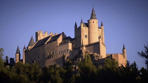 Sleeping Beauties Bild 7