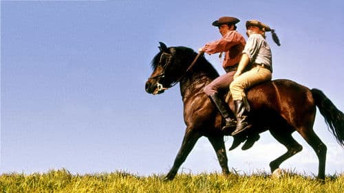 Justin Morgan Had a Horse Bild 1