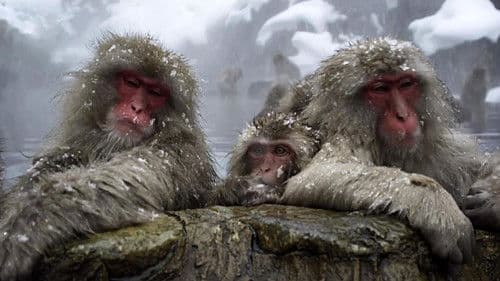 Wunderwelt Erde Bild 1