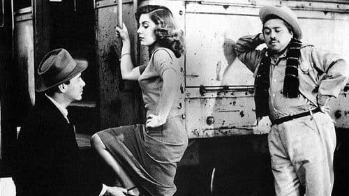 Die Illusion fährt mit der Straßenbahn Bild 5