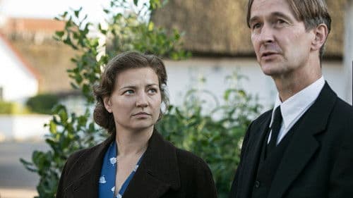 Die Vögel über dem Sund Bild 6