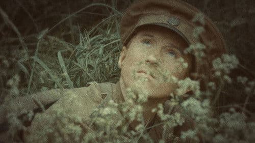 Мальчик русский Bild 7