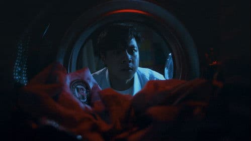 City's Laundry and Taxes Bild 1