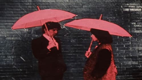 100%の女の子 Bild 7