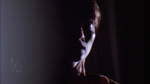 When We Lived in Miami Bild 7