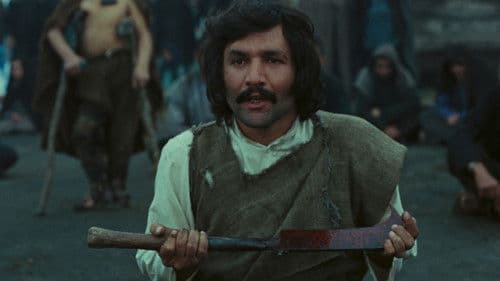 غریبه و مه Bild 5