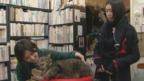 私は猫ストーカー Bild 1