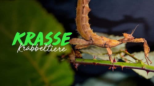 Krasse Krabbeltiere Bild 3