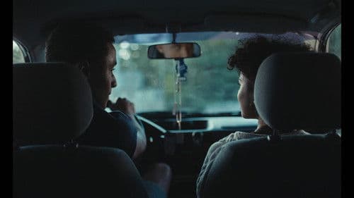 Paradiesvogel Bild 2