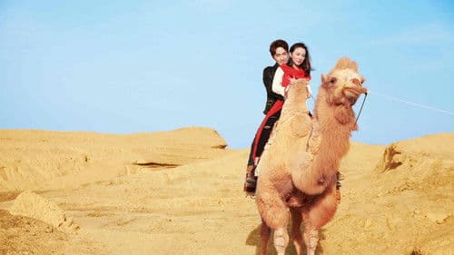 胡杨的夏天 Bild 3