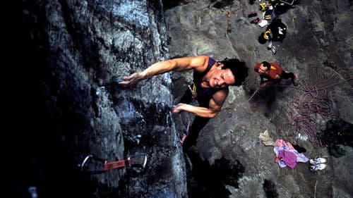 Statement of Youth Bild 1