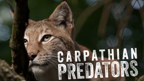 Carpathian Predators Bild 1