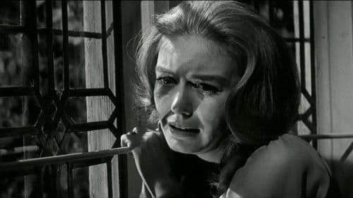 Haus des Grauens Bild 2