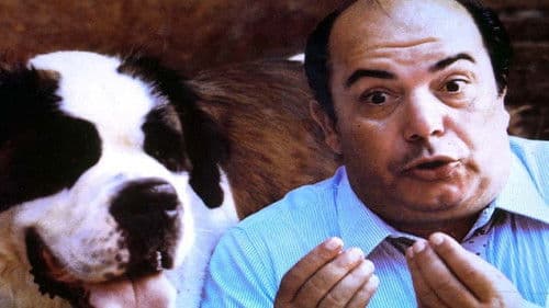 Vai avanti tu che mi vien da ridere Bild 3