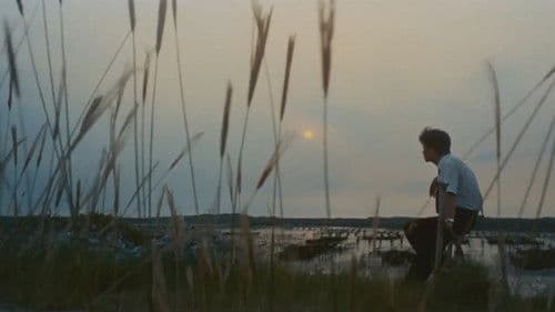 兒子的大玩偶 Bild 5