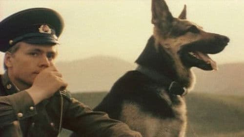 Пограничный пес Алый Bild 1