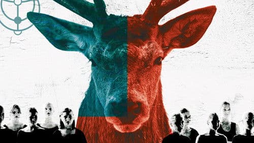 Das Mädchen aus Kyjiw Bild 8