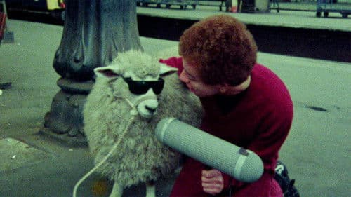 The Punk Kebab Documentary Bild 2