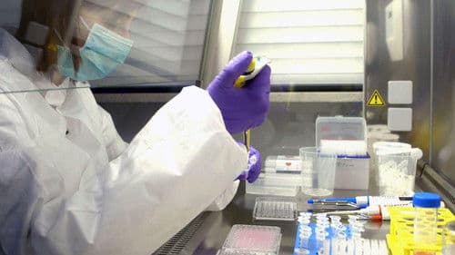 Der Proteom-Code – Dem Geheimnis des Lebens auf der Spur Bild 2