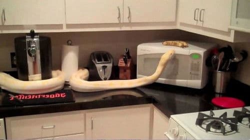 Unboxing Eden Bild 2