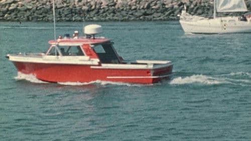 White Slavers Bild 8