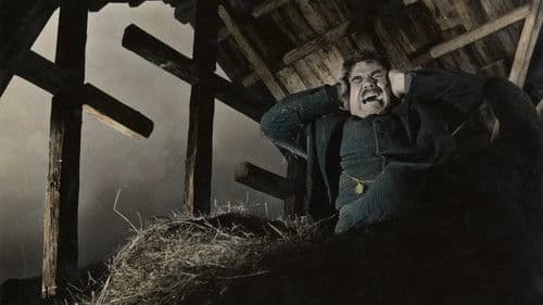 Fuhrmann Henschel Bild 1