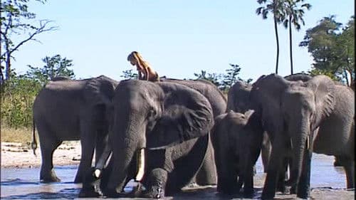 Le monde selon Tippi Bild 8