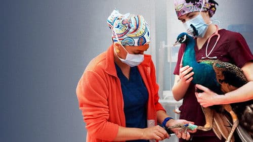 Tier Notaufnahme Bild 5