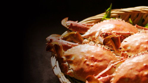 Die Wurzeln des Geschmacks Bild 6