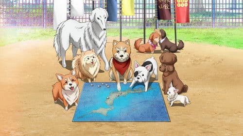 Oda Shinamon Nobunaga Bild 1