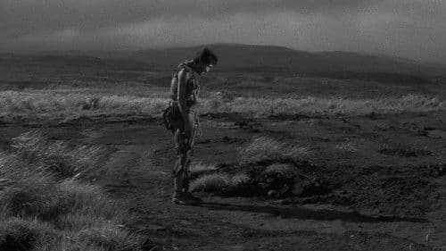 Nobi - Rauchsäulen Bild 1